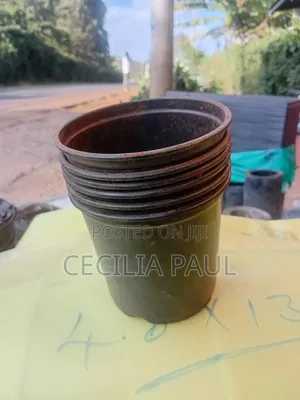 Flower Pots