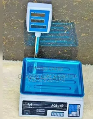 Digital Electric Weigh Scale With Arm