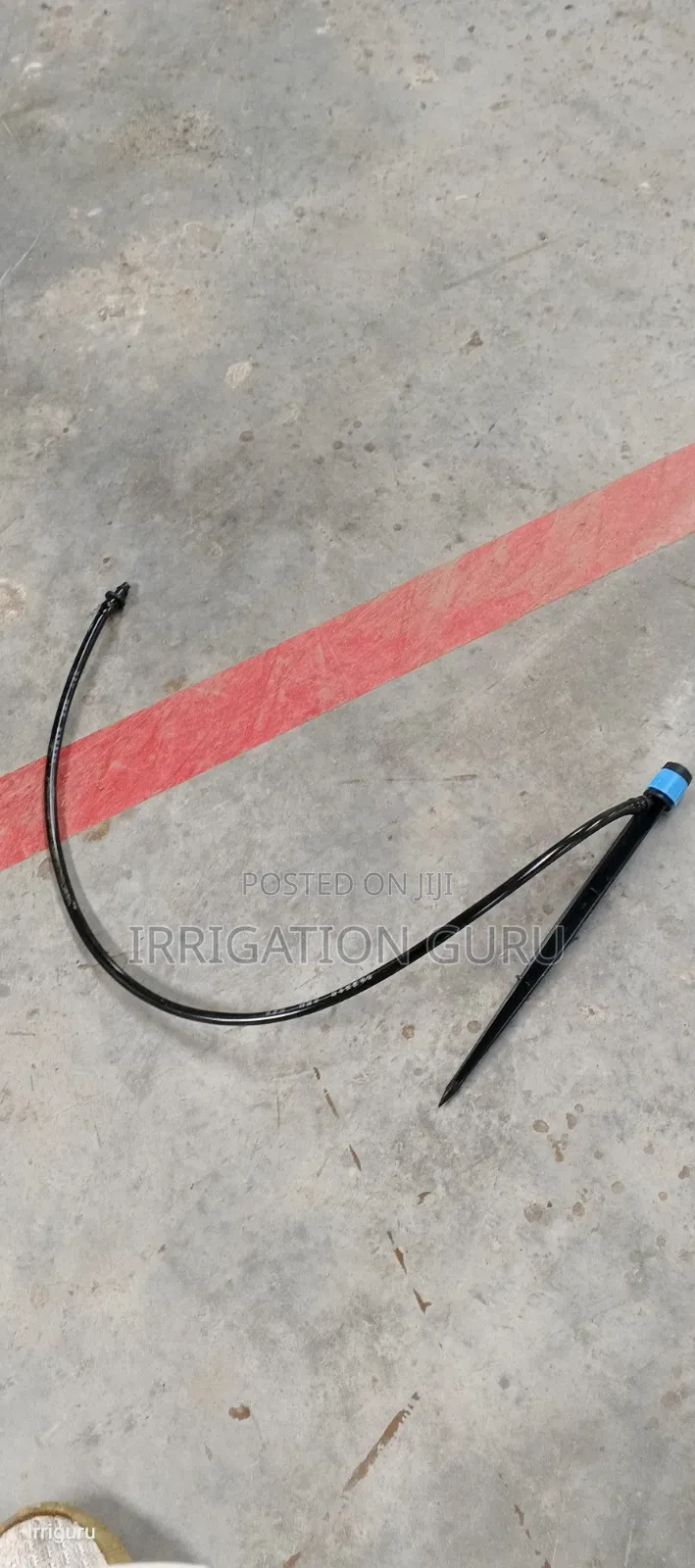 Best Tree Sprinkler Irrigation