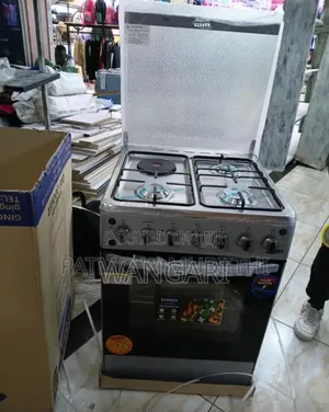 With Back Hot Plate Ecomax 60*60 Standing Cooker.