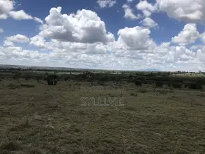 Prime 1/8 Acre Land for Sale in Kinanie