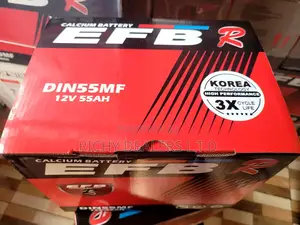 Efb 12v 55ah Battery
