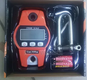 300 Kg Portable Crane Scale Weighing Machine/Professional Scale