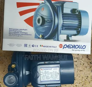 1hp New Arrival Pedrollo Water Pump Machine