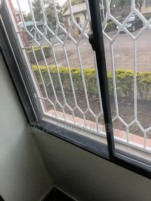 Magnetic Window Mosquito Net