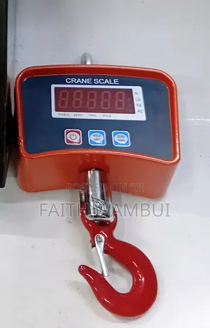 500kg Professional Crane Scale Weighing Scale 