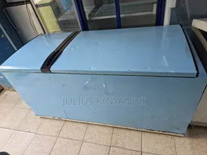 Deep Freezer Double Door