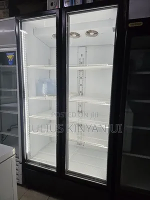 Display Commercial Chiller/Fridge