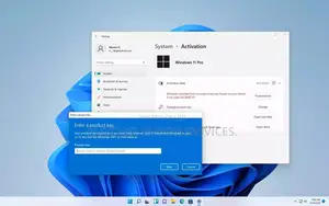 Windows 11 Pro Activation