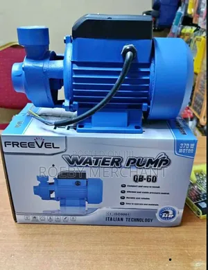 Electric Booster Water Pump/Freevel Water Pump 0.5hp