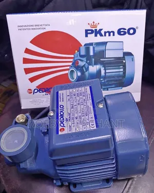 Electric Pedrollo Water Pump(0.5)/Pedrollo Water Pump Pkm60