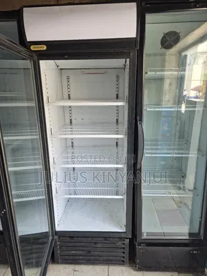 Display Fridge/Chiller 650l