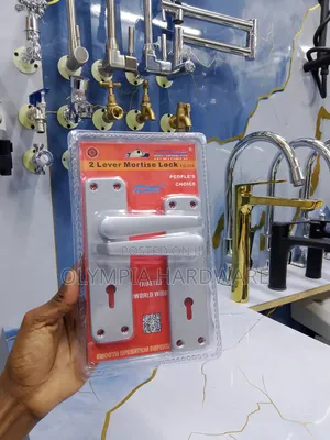 Silver Door Lock (Keyed