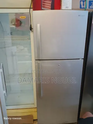 No Frost Samsung Fridge (Gray)