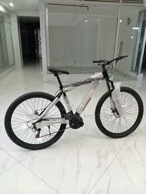 Size 29 SHM Mountain Bike
