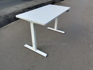 Adjustable Desk Standing Desk