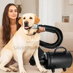 Professional Dog Grooming Tool Pet Dryer Machine