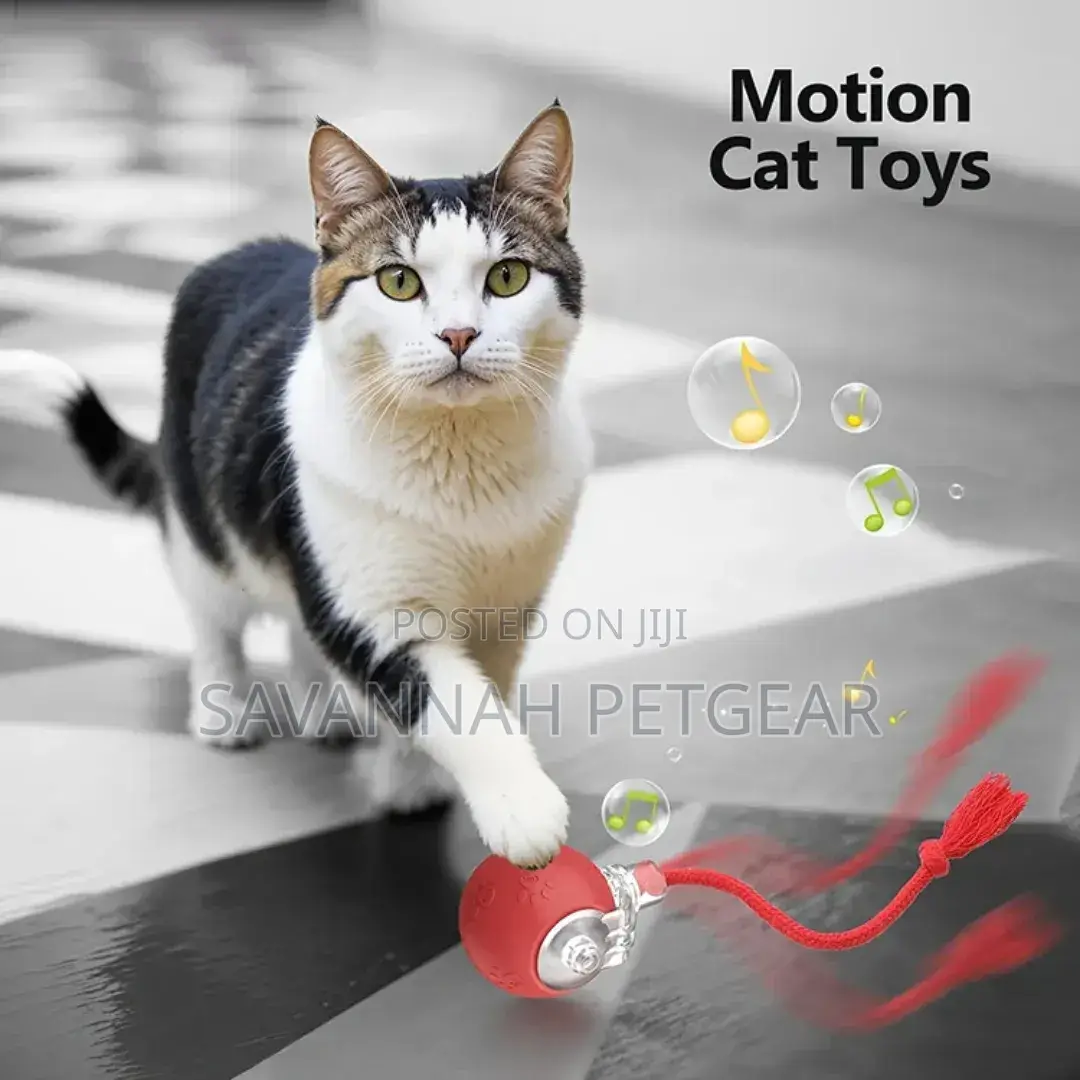 Smart Cat Interactive Toy Ball Type-C Rechargeable Intelligent Toy