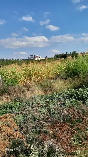 Maguguni/ Gatuanyaga Plots for Sale
