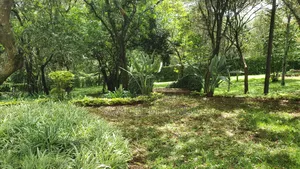 6bdrm House in Karen for sale