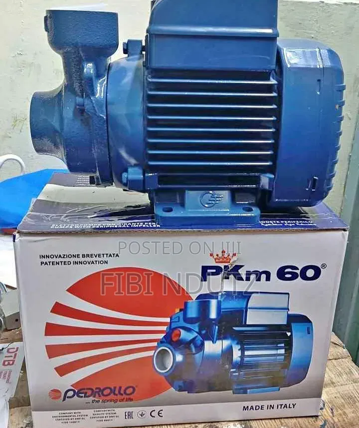 Efficient Water Pump Available Pedroll