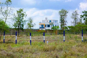 50 by 100 Plots for Sale in Juja Farm*Jw