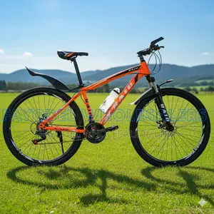 Raid Mountain Bike Size 29er