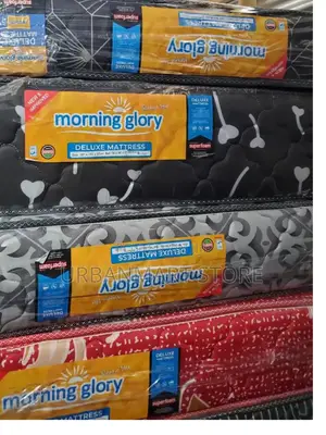 Morning Glory 5×6×10 Quilted Top Luxury Foam Mattress