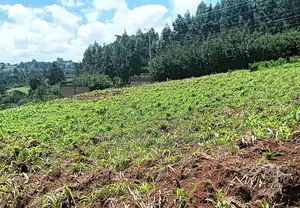 3/4 Acre Plot for Sale in Kikuyu, Ondiri Area