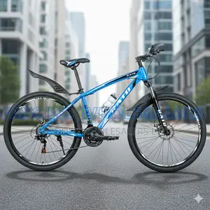 Size 29 Raid MTB Bicycle for Adults