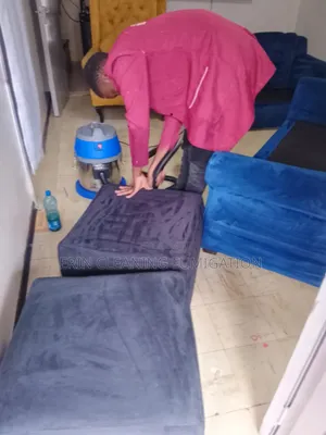 Proper Sofa, Mattress and Pest Control,Roaches and Bedbugs