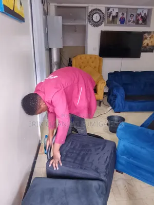 Proper Sofa, Mattress and Pest Control,Roaches and Bedbugs