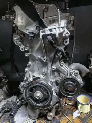 Timing Cover 1nr New Model Vitz,Fieldersienta