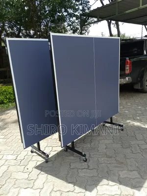 Portable Foldable Tt Table