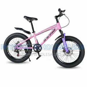 Swing Size 20 Bicycle Fat Tyre Kids Bike