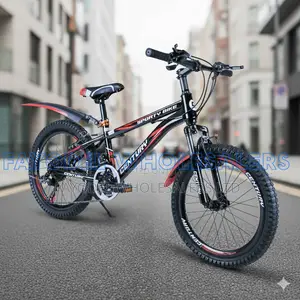 Century Kids Bike With Rim Brakes and Mudguard Guard