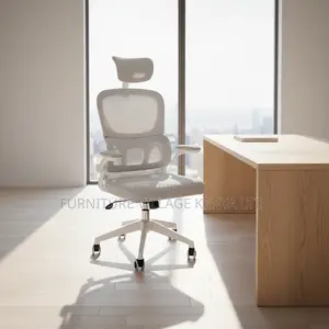White Ergonomic Adjustable Mesh Seat