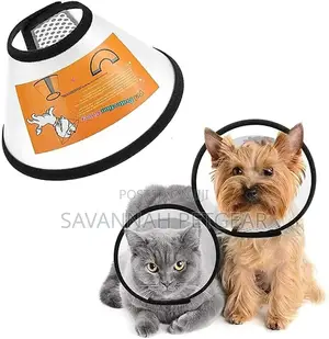 Adjustable Recovery Pet Cone, Post Surgery Plastic Elizabethan Collar