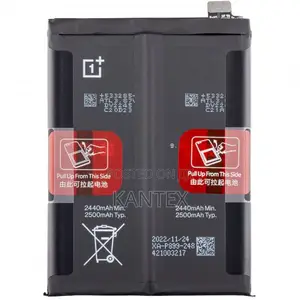 One Plus 10pro Battery Replacement BLP 899