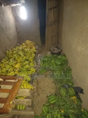 Fresh Banana Location: Butere - Shiatsala Town