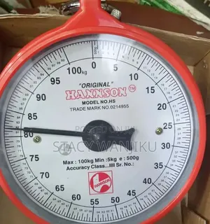 Well Performing 100kg Manual Scale