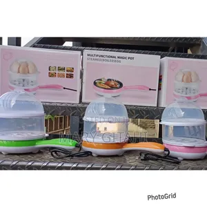 Multifunction Double Egg Boiler With Pan*