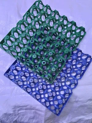 This Plastic Trays