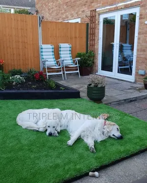 Pet Friendly Garden Turf Grass Upgrade