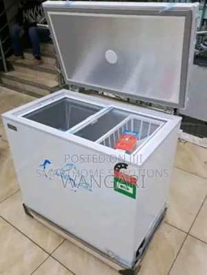 Commercial Roch 251l Freezer