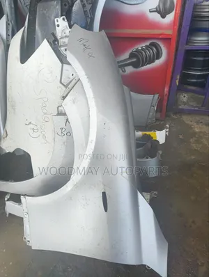 Mark X 2008 Fenders