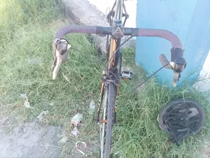 Road Bike Size 54