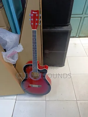 Semi Acoustic Guitar