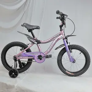 Swing 16” Bicycle With Training Wheels – Confidence Starts Here
