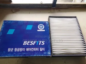 Ac Filter Hyundai Sonata Xg (Besfits Brand)